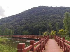 -广州市石门国家森林公园