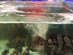-阿伟海鲜楼·福建菜(延寿店)