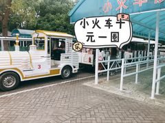 -上海海湾国家森林公园