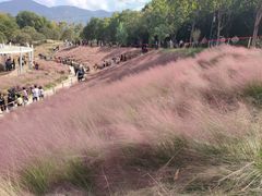 -牛岗山公园