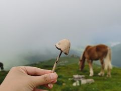 -五台山风景区