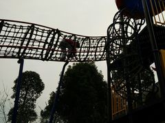 -秀丽东方