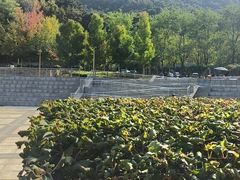 -慢丽江·云南野生菌土鸡锅(付家庄店)