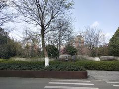 -武汉园博园(武汉自然博物馆)
