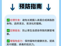 -哆趣宠物医院·眼科·内镜·急重症转诊中心(上海店)