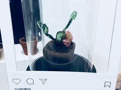 -无牌咖啡&酒馆