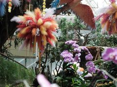 -正佳雨林生态植物园