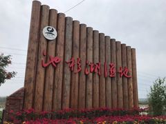 -池杉湖湿地公园