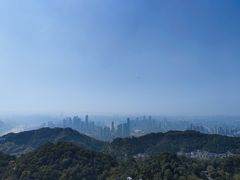 -大金鹰园
