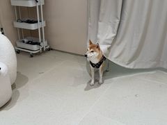 -天真蓝照相馆(西安南门王府井LAB店)