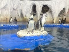 -太平洋海底世界