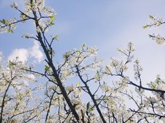 -人杰湖公园(地铁站)