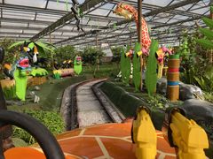 -南宫五洲植物乐园