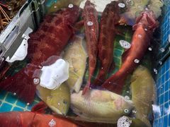 -羊栏农贸市场(羊新路店)