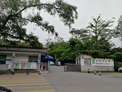 -华南国家植物园-售票处