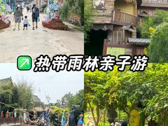 -呀路古热带植物园