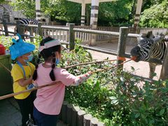 -贵州森林野生动物园