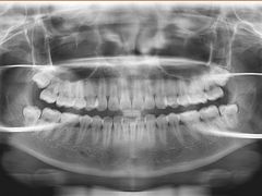 -岳辰齿科(浦东长泰店)