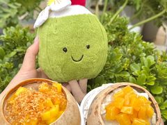 -冰椰岛椰冰(亚龙湾店)