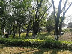 -东莞植物园