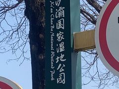-西安浐灞国家湿地公园