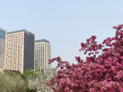 -海棠花溪(元大都城垣遗址公园)