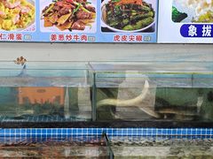 -红月湾海鲜饭店•沙滩海景(双月湾店)