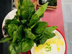 -九鼎轩脆毛肚火锅(三钢里店)