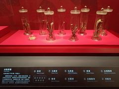 -北京大葆台遗址博物馆