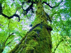 -燕子沟风景区