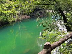 -石台牯牛降景区