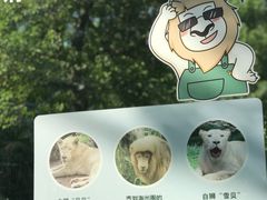 -广州动物园