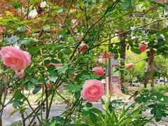 -往来·竹里.宝宝宴.生日宴.团建.宴席(花乡农居店)