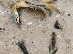 -花乐餐厅(涠洲岛店)