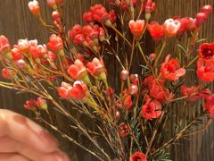 -四川饭店(长白店)