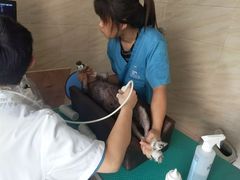 -安安宠医·安宠宠物医院