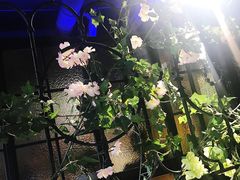 -南城十里潮汕鲜牛火锅·鲜虾生滚粥(融汇老商埠店)