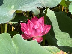 -莲池书院博物馆
