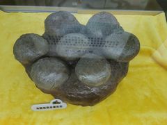-诸城市恐龙博物馆