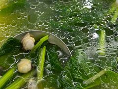 -淡村菜市场