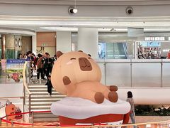 -深圳龙华星河COCO City(民治店)
