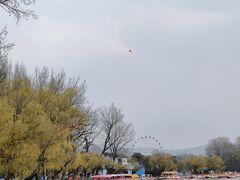 -二一九公园