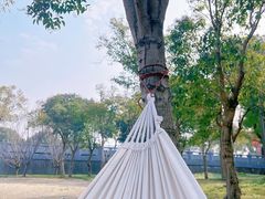 -广富林郊野公园