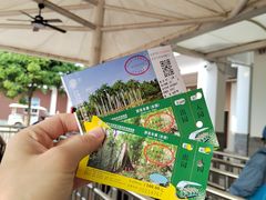 -中国科学院西双版纳热带植物园