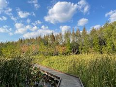 -昆山城市生态森林公园