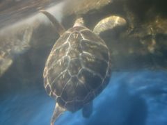 -梦幻海洋王国(吾悦广场张家港店)