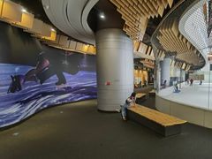 -TheRink大零溜冰场(IFS国金中心店)