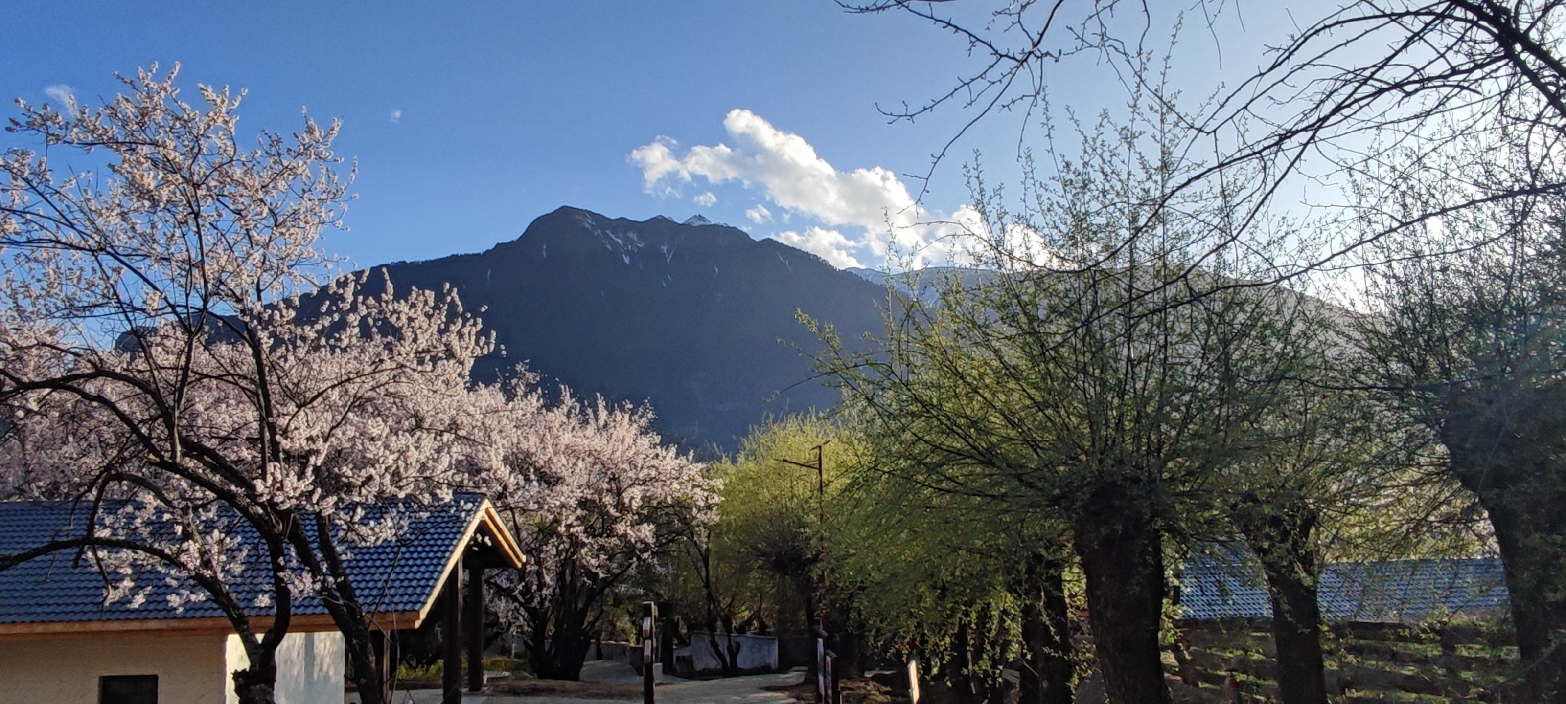 林芝桃花沟景区图片