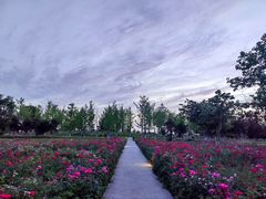 -汉长安城未央宫国家考古遗址公园