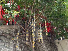 -重庆十八梯传统风貌区